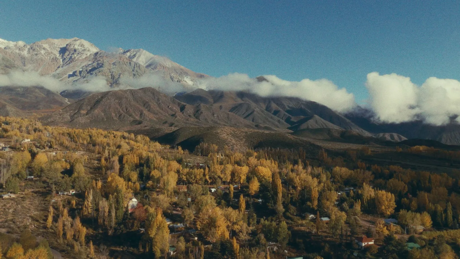 Valle otoñal con álamos dorados y cordillera nevada al fondo