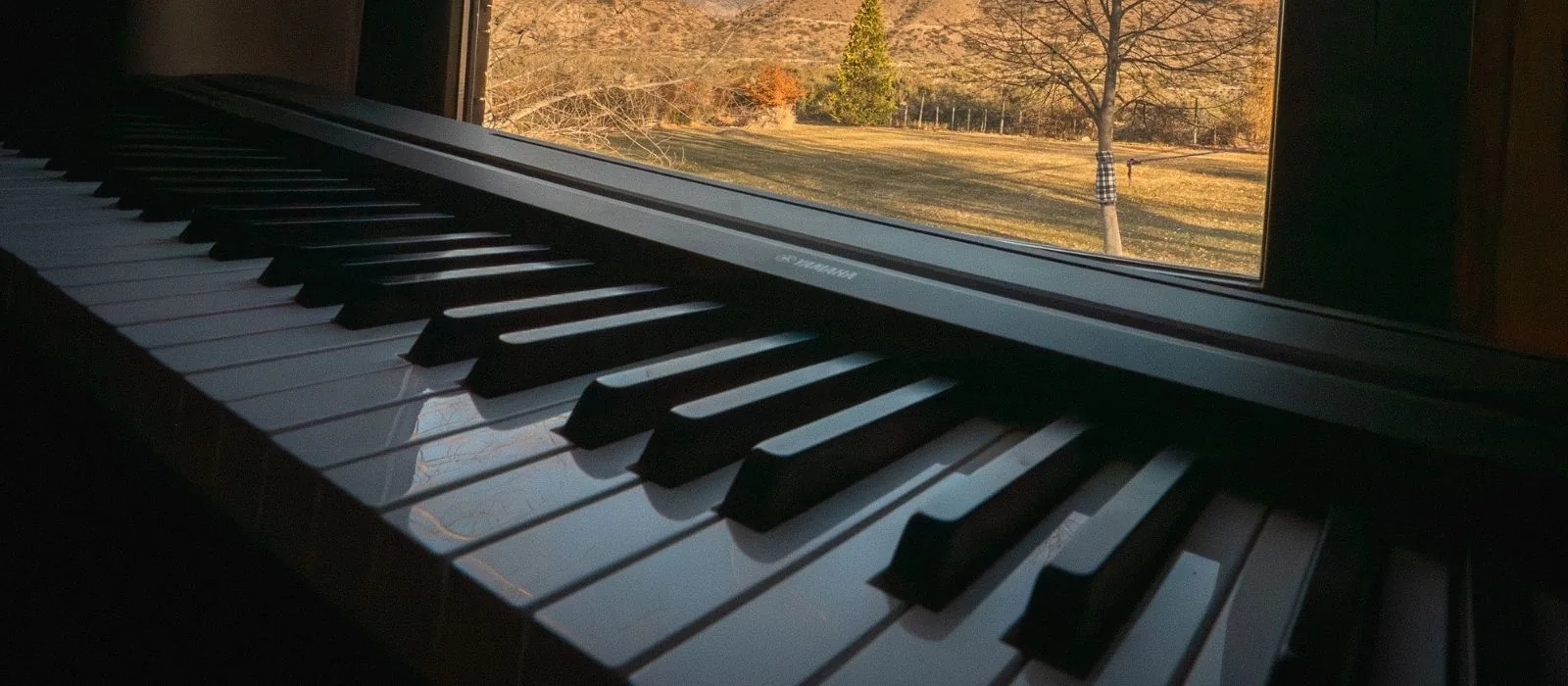 Teclado Yamaha P-45 frente a la ventana con vista al paisaje